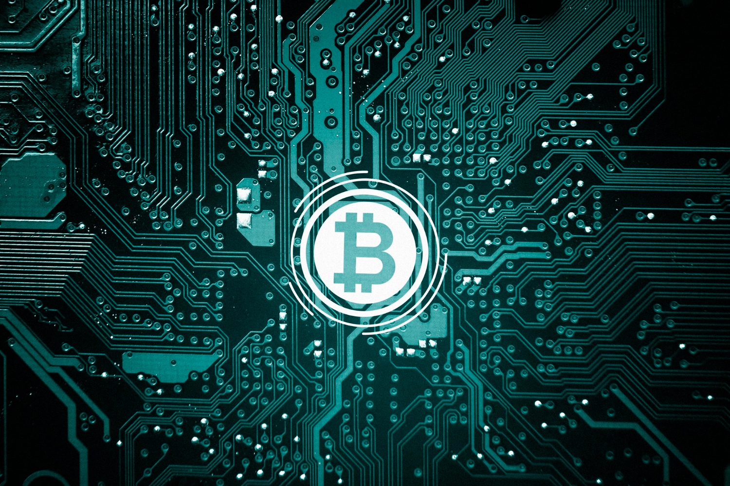 A Full Guide For Understanding Bitcoin Miners