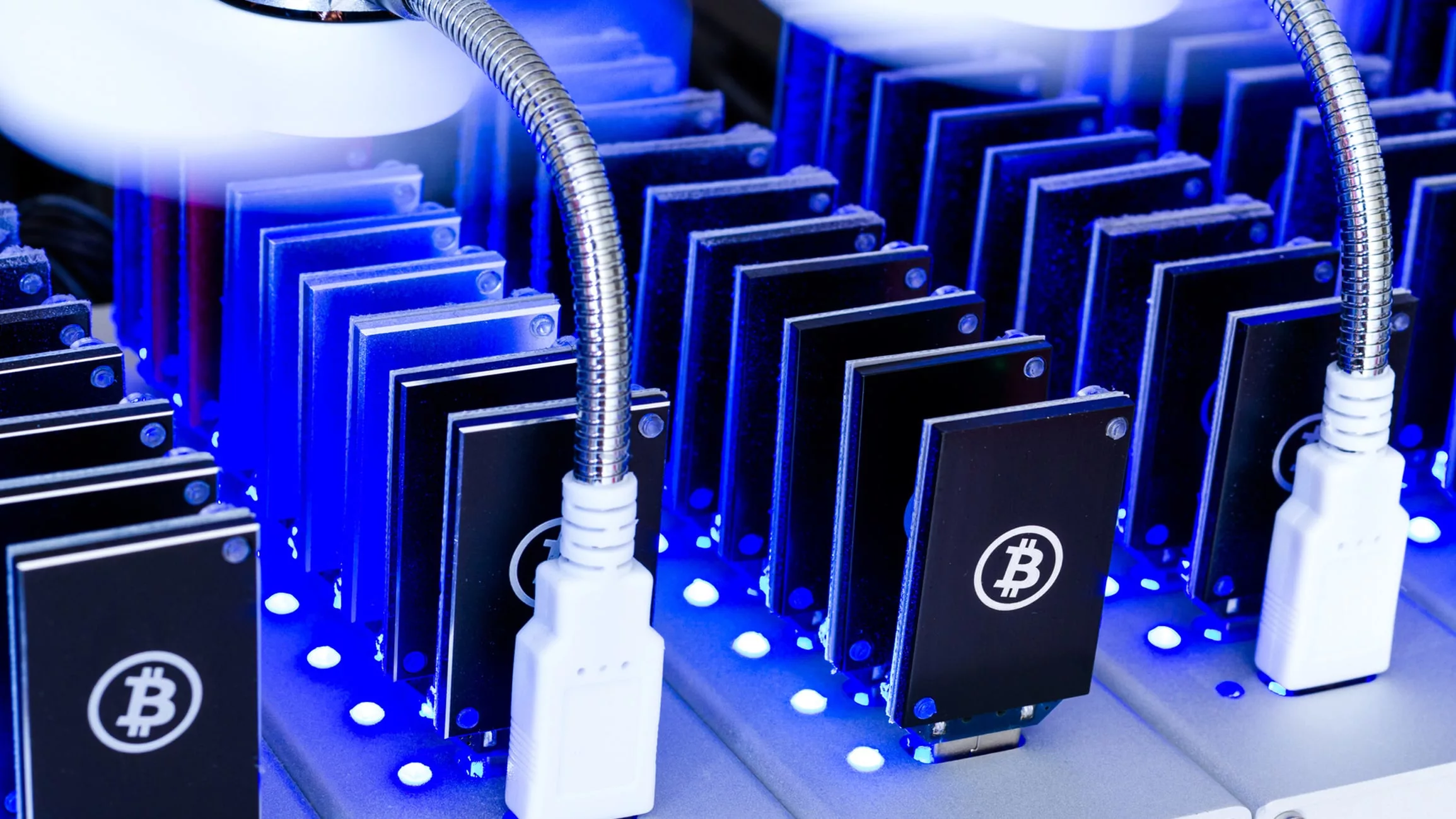 Bitcoin Mining Hosting: Everything You Need to Know Before Choosing a Hosting Provider